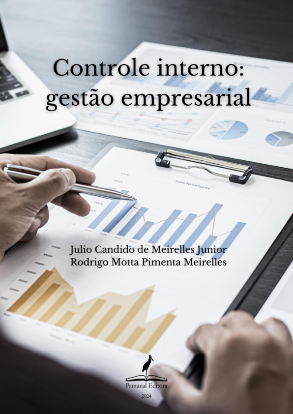 Controle Interno e Gestão Empresarial: Guia Prático