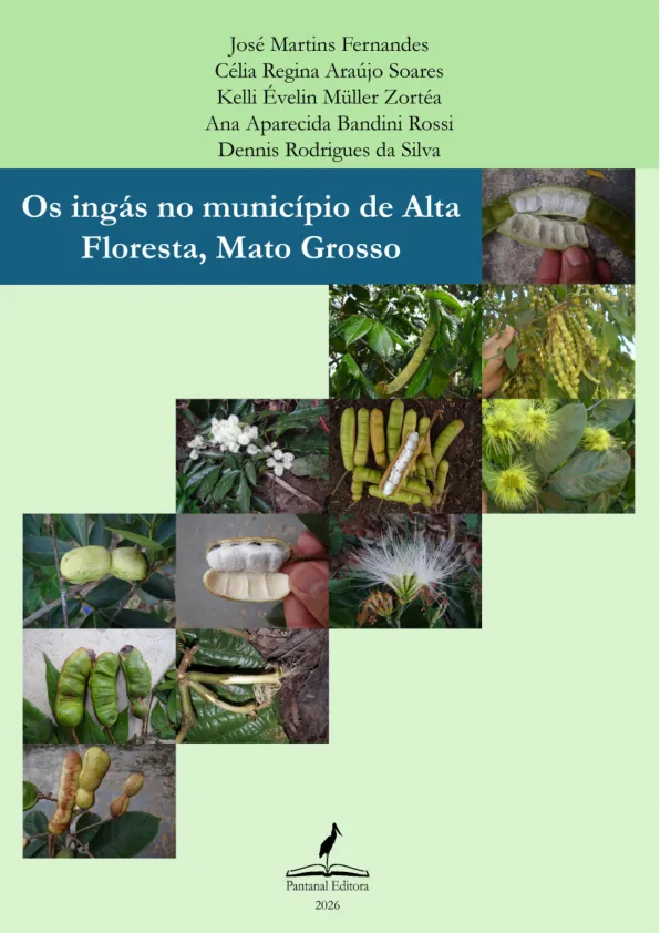 Ler e-book